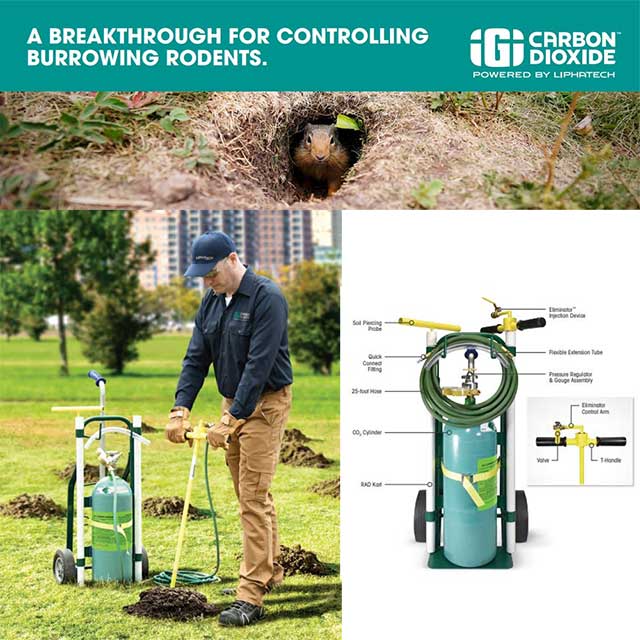 Breakthrough For Controlling Burrowing Rodents