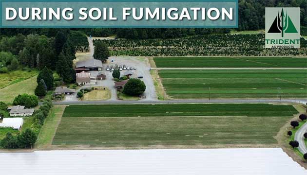 From Field Prep to Soil Fumigation