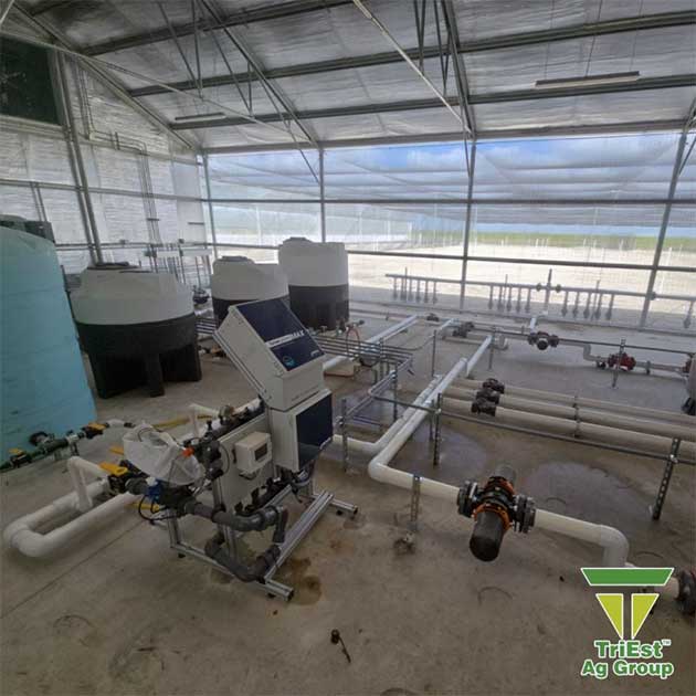 Greenhouse Tech | TriEst Ag Group