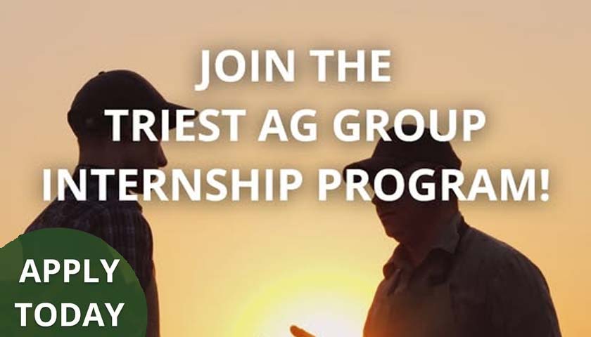 TriEst Ag Group Internships