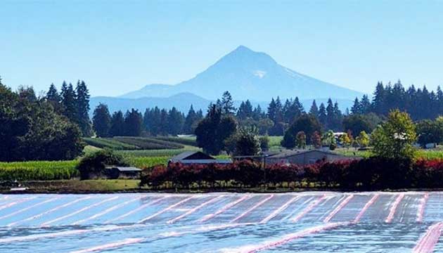 My Office View for the Day