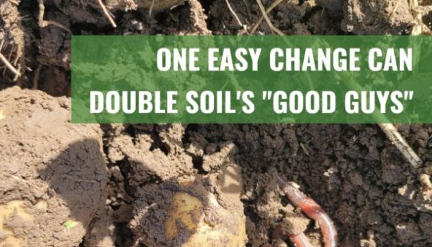 Field Trials Show Strike Strengthens Soil Health