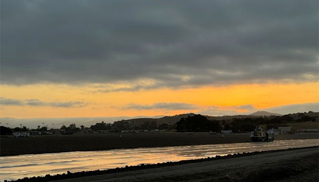 Supporting Healthy Strawberry Crops