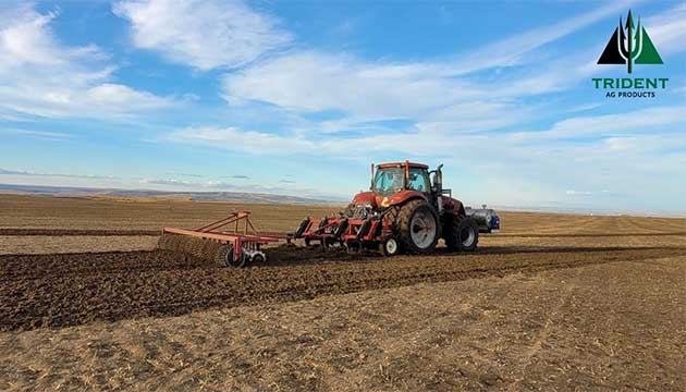 Soil Health is the Foundation of Productive Farming