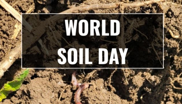 TriCal Group Celebrates World Soil Day