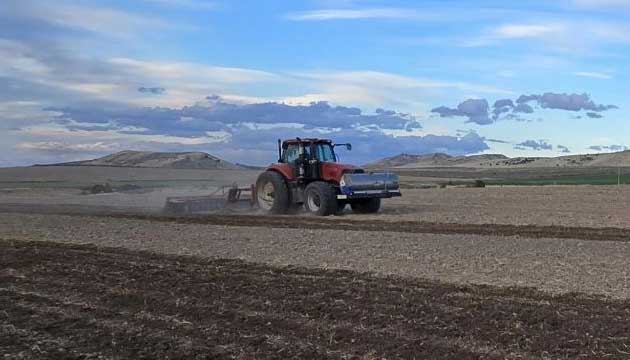 Strike Potato Trials in Eastern Idaho!