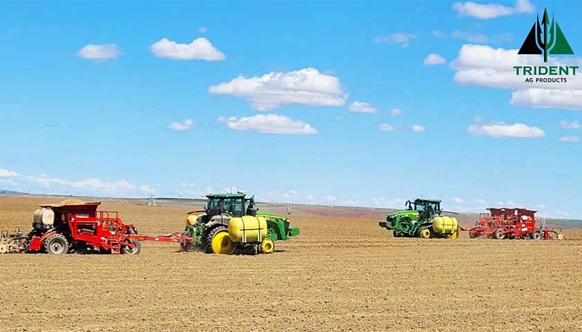 Potato Planting Season is Here!