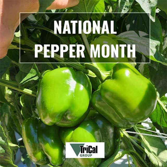 TriCal Group celebrates National Pepper Month